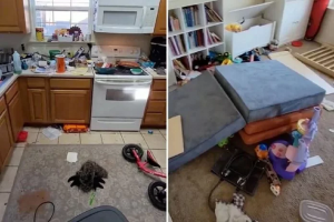 A négygyerekes anyuka őszinte képeket osztott meg arról, hogy néz ki az otthona, ha négy napig nem takarít