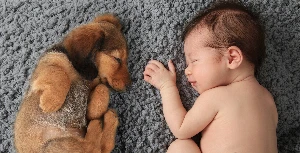 Baba születik-mit gondol erről a kutyánk?