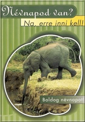 Kép