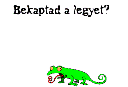 Kép