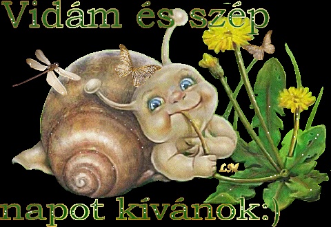 Kép